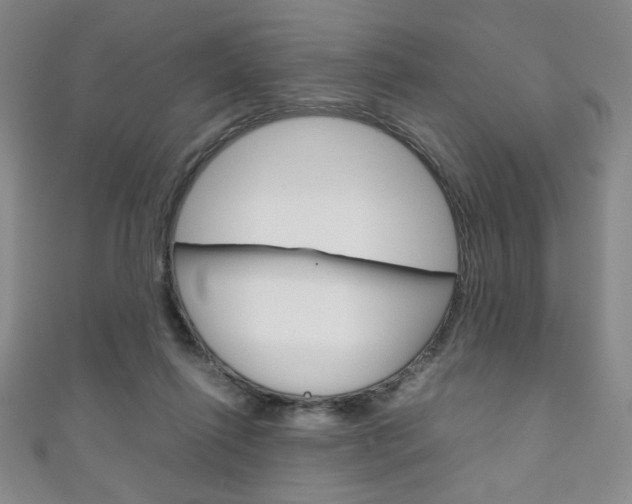 X0000111150262200906301044
