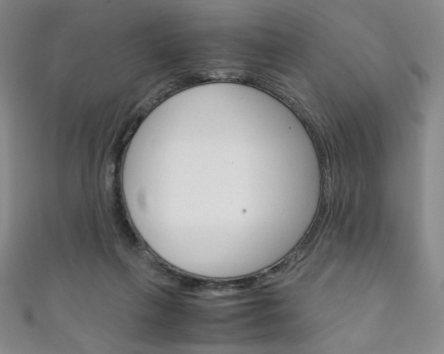 X0000111150263200906301044