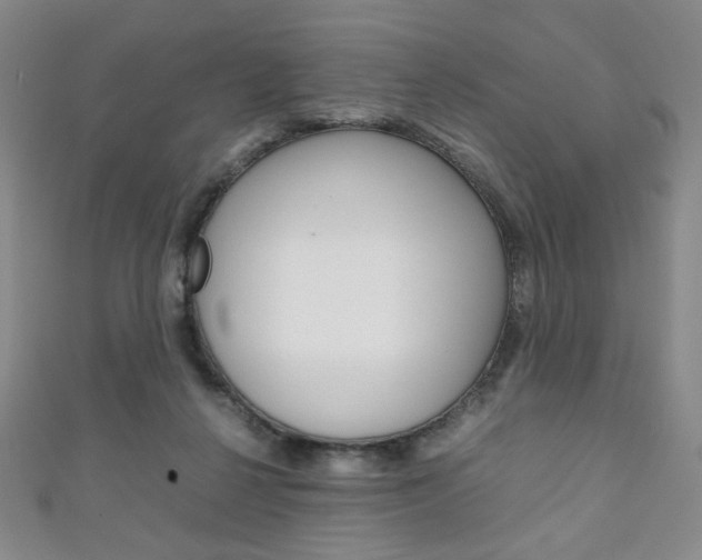X0000111150264200906301044