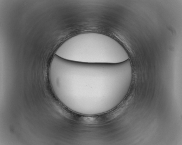 X0000111150265200906301044
