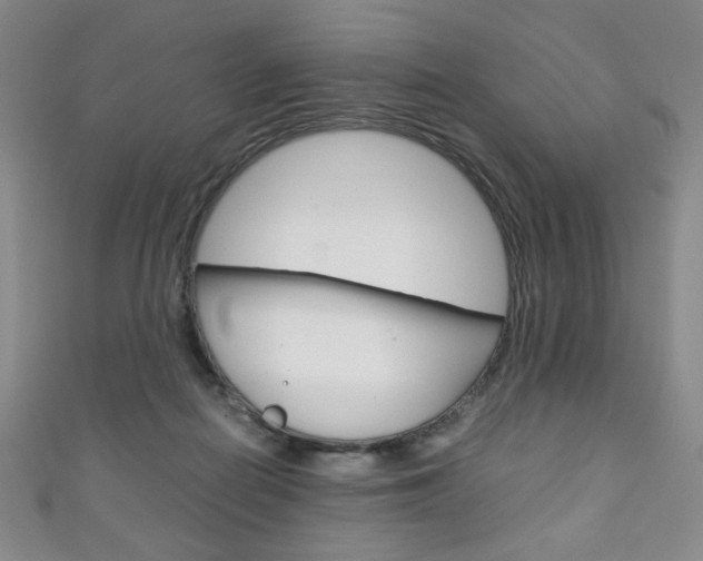 X0000111150266200906301044