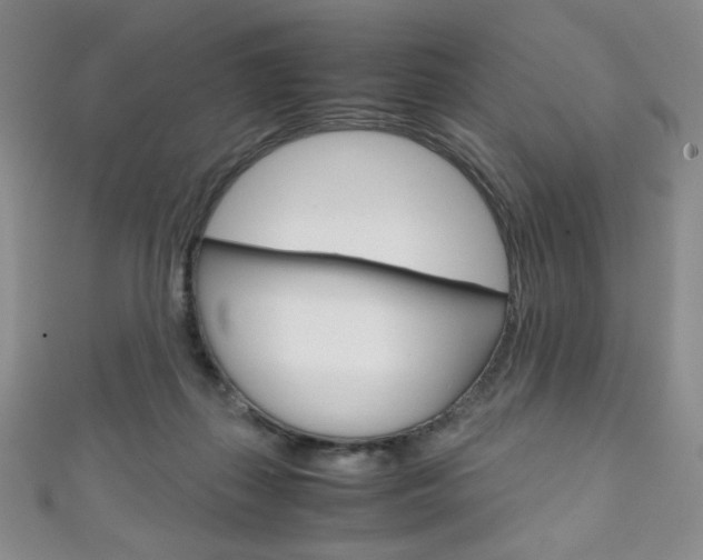 X0000111150267200906301044