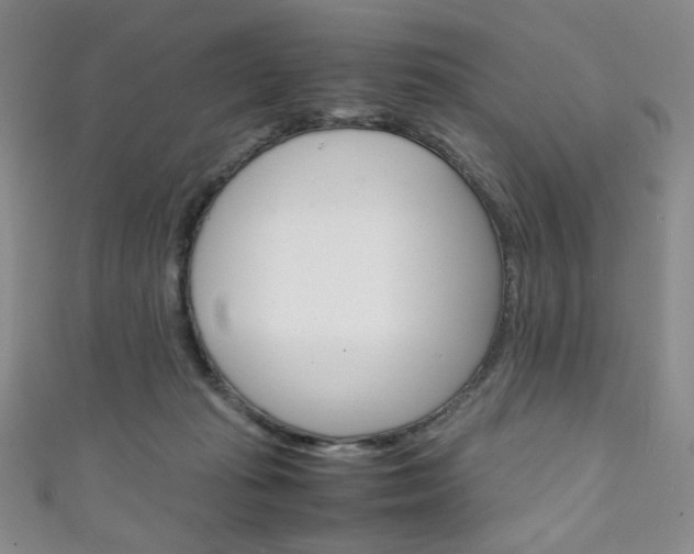 X0000111150269200906301044