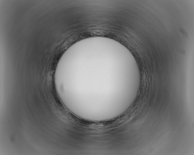 X0000111150271200906301044