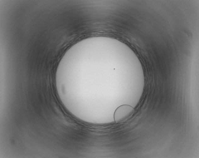 X0000111150272200906301044