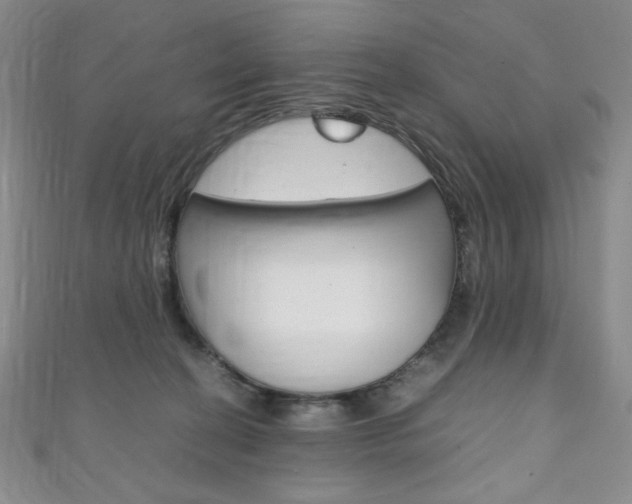 X0000111150274200906301044