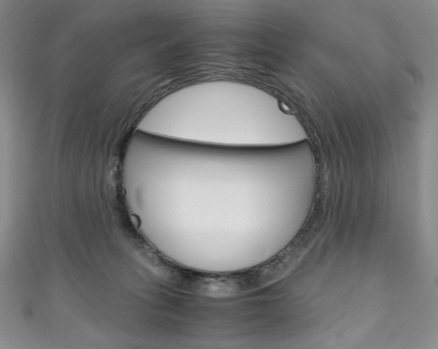 X0000111150275200906301044