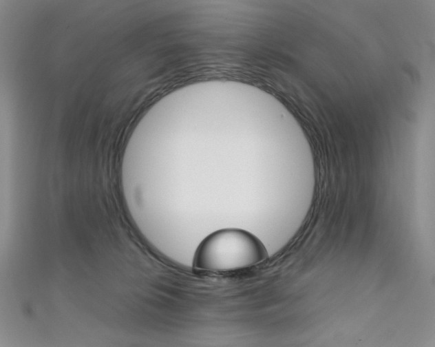 X0000111150276200906301044