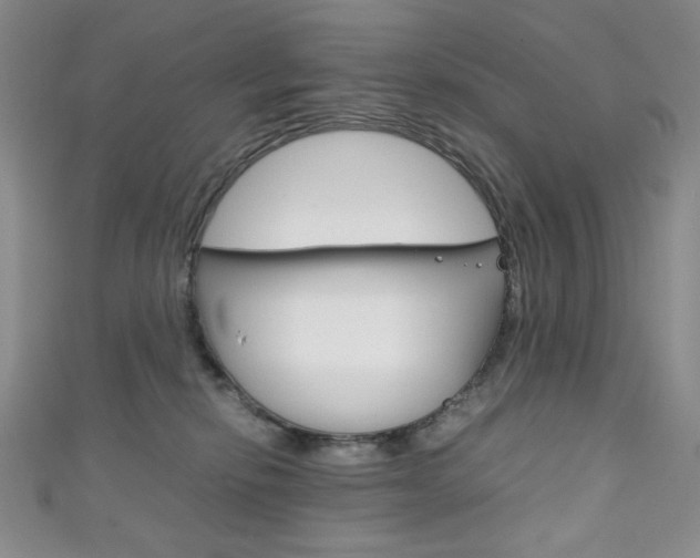 X0000111150278200906301044