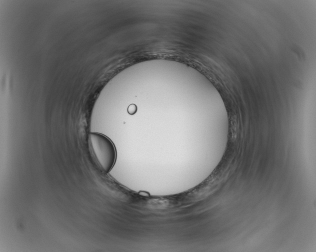 X0000111150279200906301044