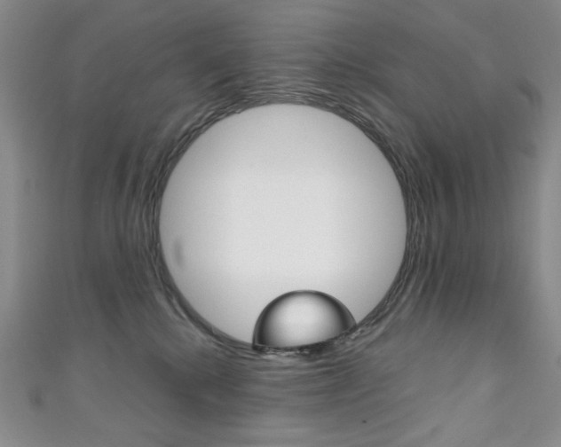 X0000111150280200906301044