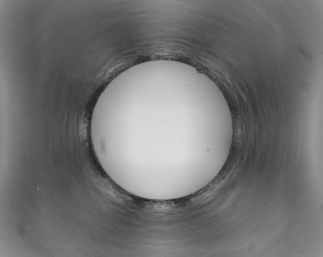 X0000111150282200906301044