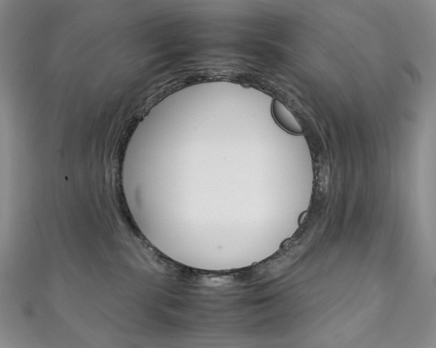 X0000111150283200906301044