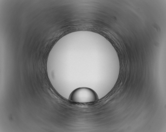 X0000111150284200906301044
