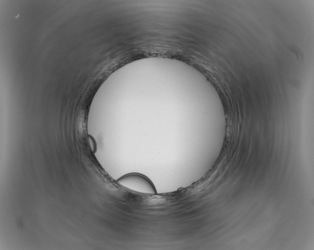 X0000111150287200906301044