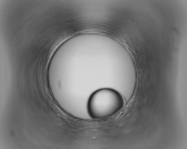 X0000111150289200906301043