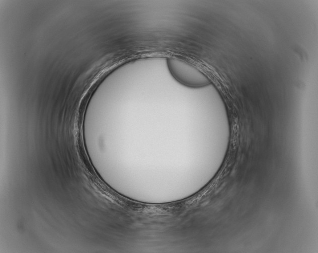 X0000111150290200906301043
