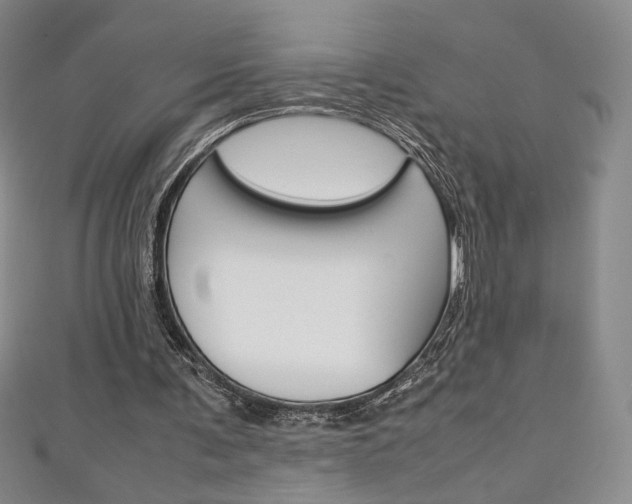 X0000111150291200906301043