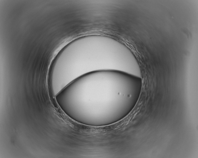 X0000111150292200906301043