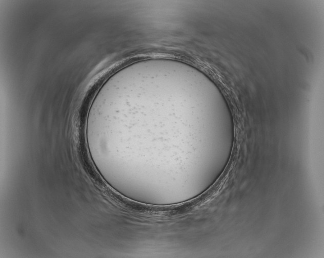 X0000111150295200906301043