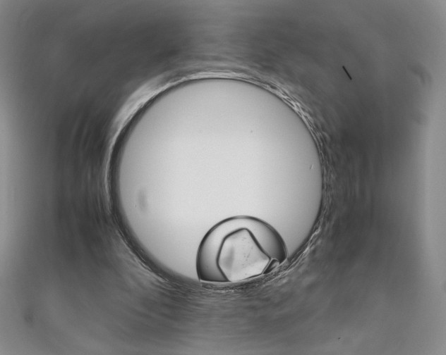 X0000111150296200906301043