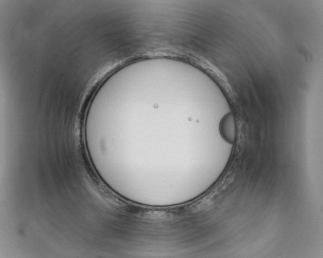 X0000111150298200906301043