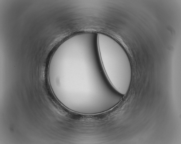 X0000111150299200906301043