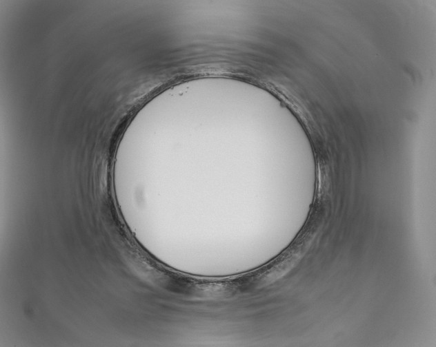 X0000111150301200906301043