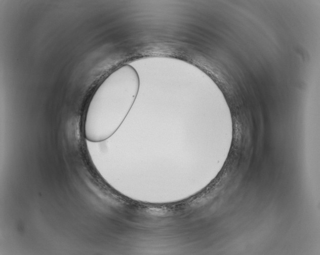 X0000111150302200906301043