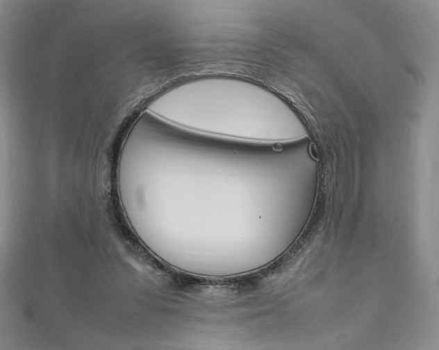X0000111150303200906301043