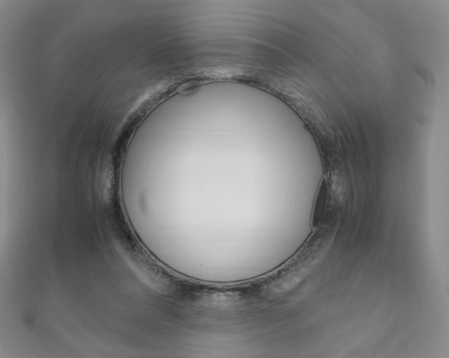 X0000111150304200906301043
