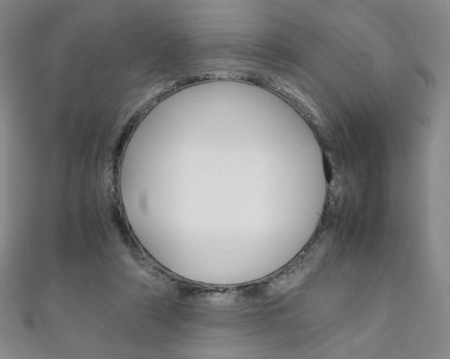 X0000111150306200906301043