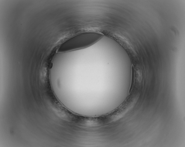 X0000111150308200906301043