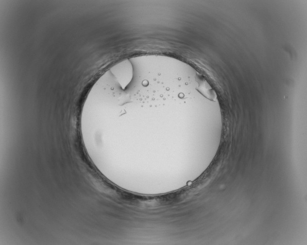 X0000111150309200906301043