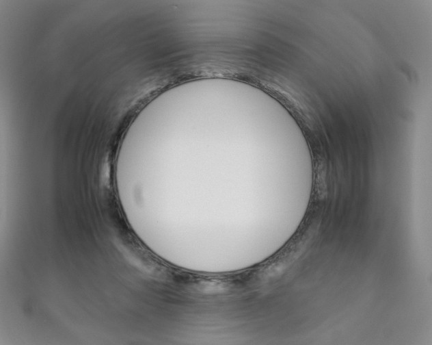 X0000111150310200906301043