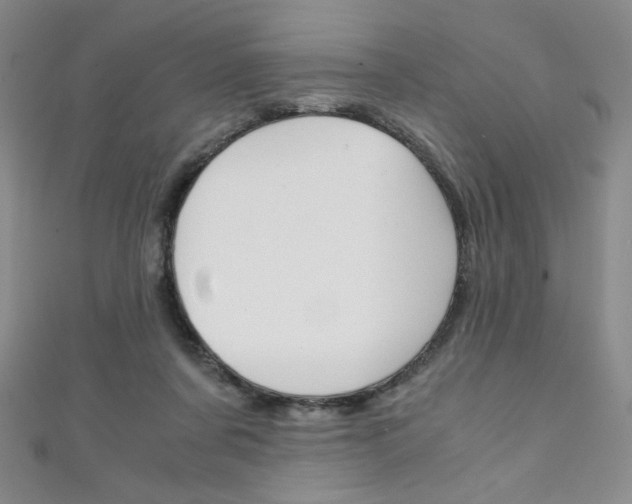 X0000111150311200906301043