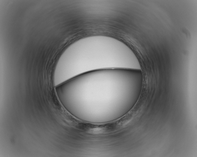 X0000111150312200906301043