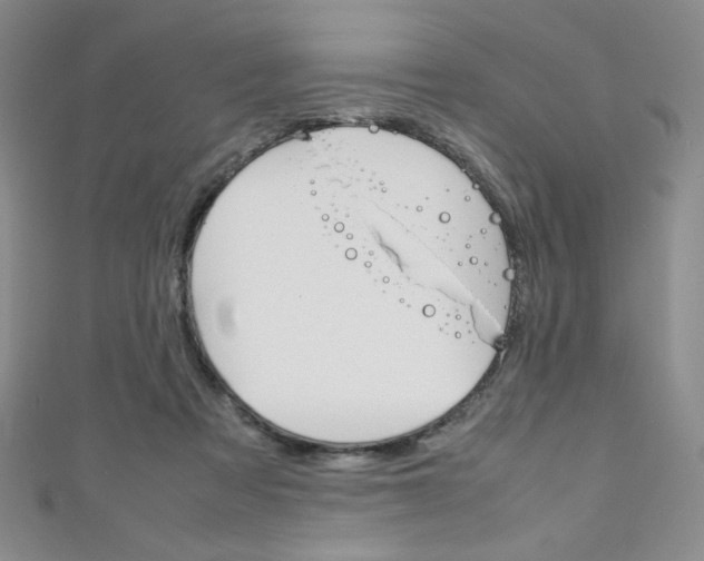 X0000111150313200906301043