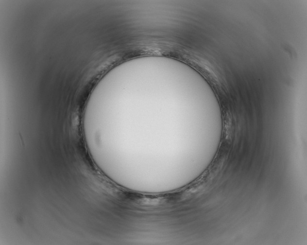 X0000111150314200906301043