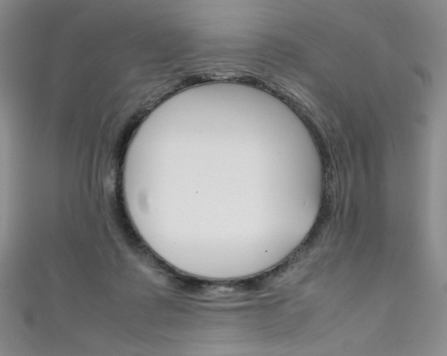 X0000111150315200906301043