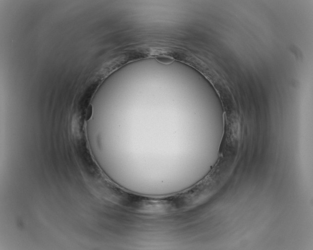 X0000111150316200906301043