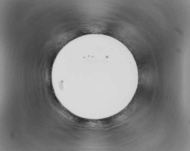 X0000111150317200906301043