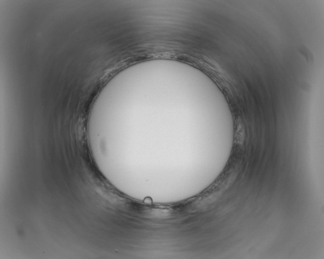 X0000111150318200906301043