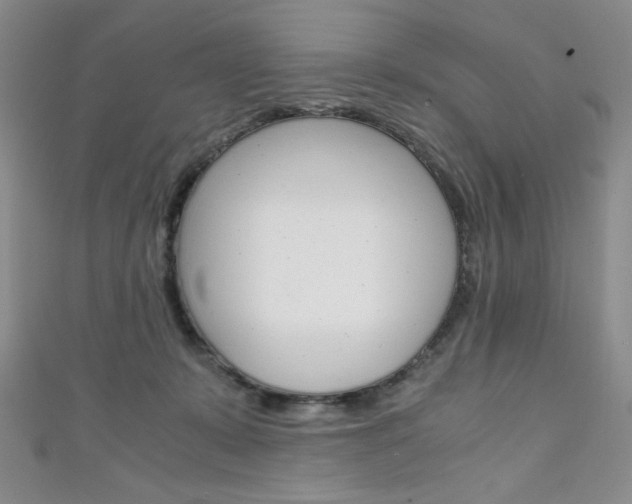 X0000111150319200906301043