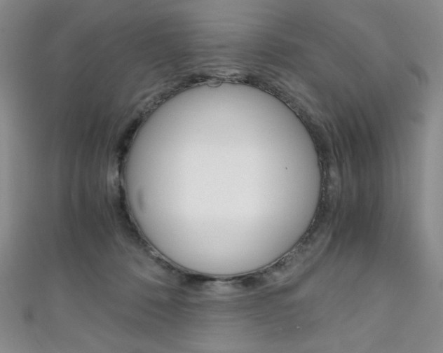 X0000111150320200906301043