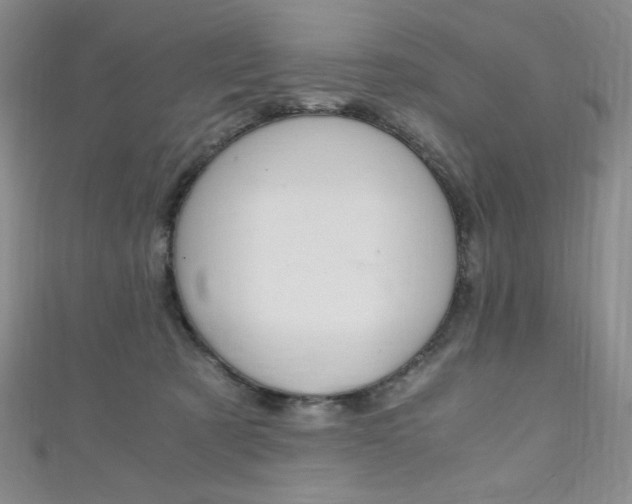 X0000111150321200906301043