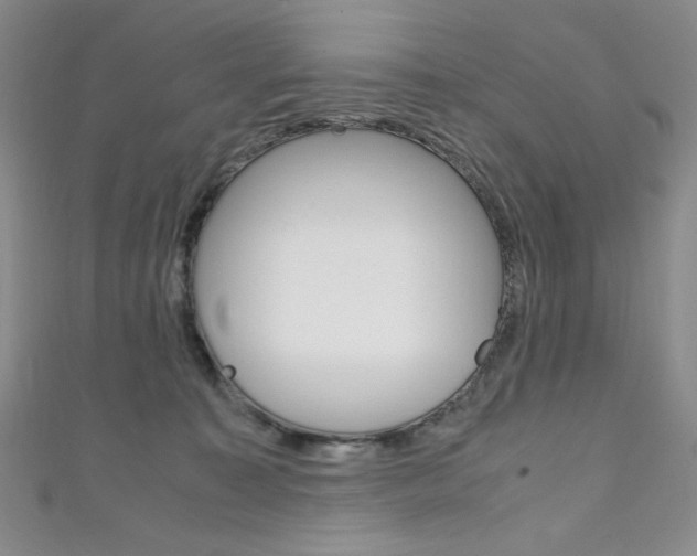 X0000111150323200906301043