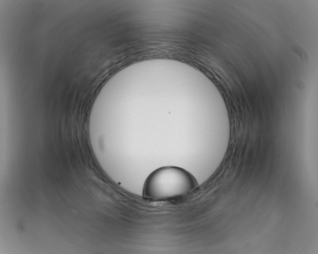 X0000111150324200906301043