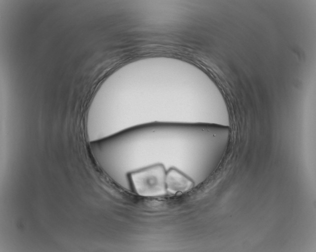 X0000111150325200906301043