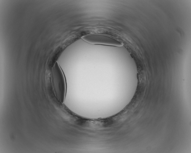 X0000111150327200906301043